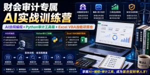 财会审计专属AI实战训练营｜AI协同编程+Python审计工具箱+Excel VBA加载项落地（更新0816）-优优云网创