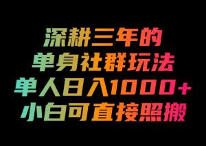深耕三年的单身社群玩法,单人日入1000+,小白可直接照搬!【揭秘】-优优云网创