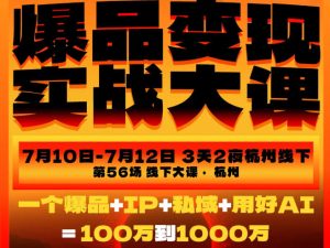 爆品变现实战大课，从爆品，到流量，到成交，一个爆品+IP+私域+用好AI=100W到1000W（7月10-12日）-优优云网创