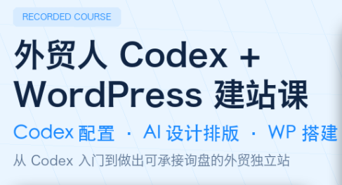 大卫·外贸人Codex + WordPress建站课(更新8月)-优优云网创