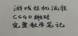 游戏挂机全流程笔记分享,CSGO游戏搬砖,小白看了当天学会见收益-优优云网创