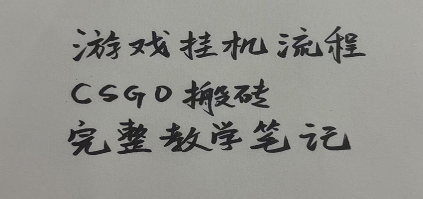 游戏挂机全流程笔记分享,CSGO游戏搬砖,小白看了当天学会见收益-优优云网创