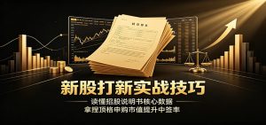 新股打新实战技巧:读懂招股说明书核心数据,拿捏顶格申购市值提升中签率-优优云网创