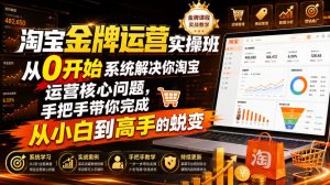 淘宝金牌运营实操班,从0开始系统解决你淘宝运营核心问题,手把手带你完成从小白到高手的蜕变(2026年7月)-优优云网创