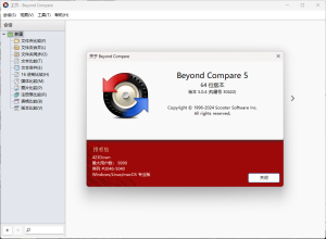 Beyond Compare v5.2.5.32528-优优云网创