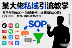 某大佬私域引流教学，各平台引流SOP（抖音快手小红书微信QQ等），思路+流程+话术+变现（更新0708）-优优云网创