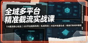 全域多平台精准截流实战课|7大截流核心玩法、6大平台矩阵布局、私域导流、AI话术批量生成、精准打粉闭环教程-优优云网创