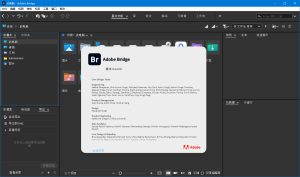 Adobe Bridge 2026 v16.0.6.9-优优云网创