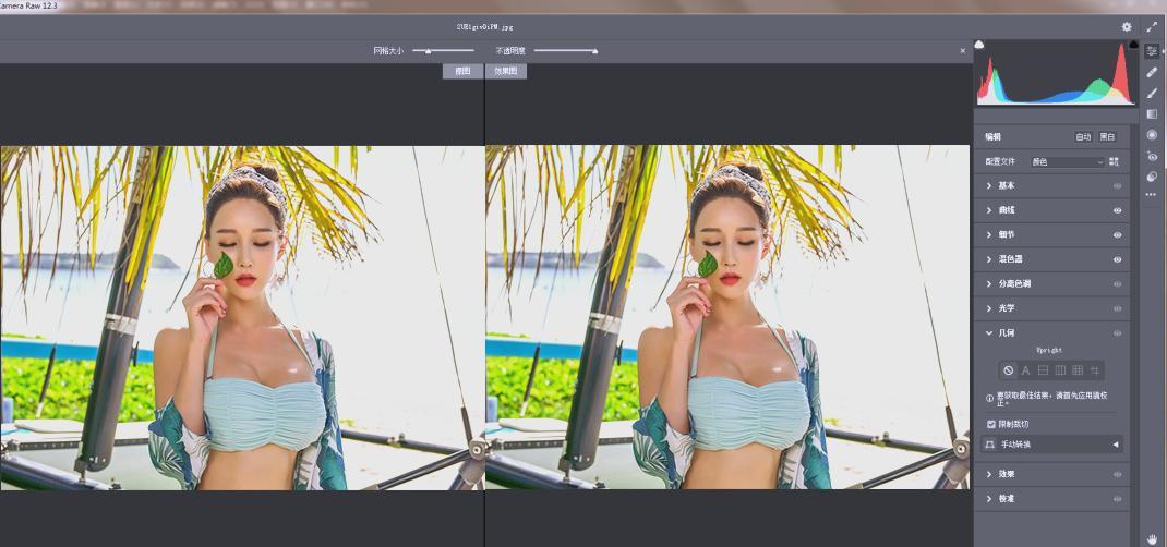 RAW处理Adobe Camera Raw v18.5.0中文版-优优云网创