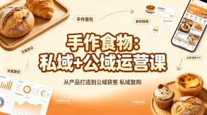 【精】手作食物：私域+公域运营课，从产品打造到公域获客私域复购-优优云网创