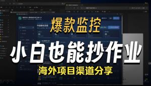抖音爆款数据监控工具_海外网盘拉新渠道-优优云网创