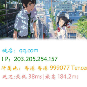 图片版Ping接口源码-优优云网创