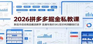 2026拼多多掘金私教课：新品冷启动竞品截流教学，直通车拖价SKU定价利润翻倍打法-优优云网创