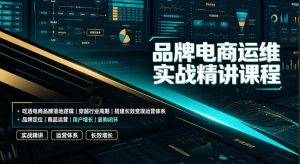 品牌电商运维实战精讲课程|吃透电商品牌落地逻辑、穿越行业周期、搭建长效变现运营体系-优优云网创