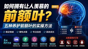 (19805期)付费文章:如何拥有让人羡慕的前额叶?五种养护前额叶的实操方法-优优云网创