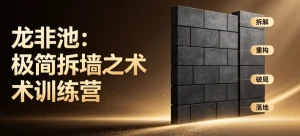【精】龙非池:极简拆墙之术训练营_龙非池(环游中国)从复杂问题到极简破局-优优云网创