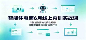 智能体电商6月线上内训实战课：ai智能体落地电商-免费资源