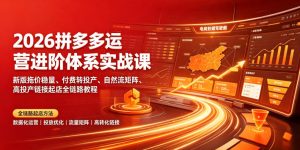 2026拼多多运营进阶体系实战课|新版拖价稳量、付-免费资源