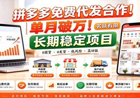 拼多多免费代发合作｜单月破万！长期稳定项目，名额有限-免费资源