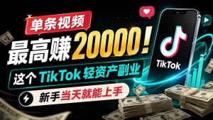（19457期）单条视频最高赚-20000！这个-tiktok-轻资产副业，新-免费资源