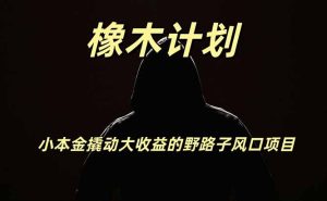 橡木计划，小投入撬动高回报的风口野路子项目，-免费资源