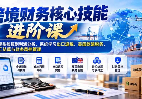 跨境财务核心技能进阶课:从建账核算到利润分析,系统学习出口退税、英国欧盟税务、外汇结算与财务风控管理-免费资源