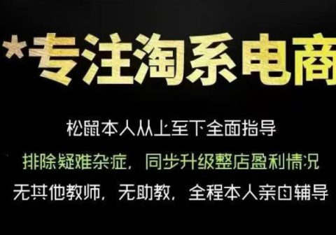 松鼠会电商VIP课程，从基础布局到高阶优化，助你掌握淘宝运营逻辑，提升店铺流量与转化(更新1022)-免费资源