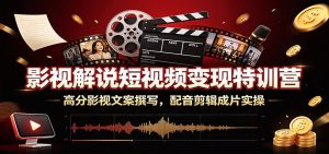 影视解说短视频变现特训营:高分影视文案撰写,-免费资源