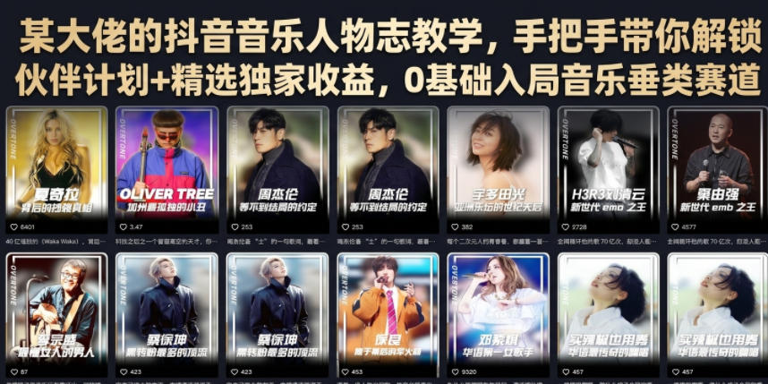 某大佬的抖音音乐人物志教学，手把手带你解锁伙-免费资源