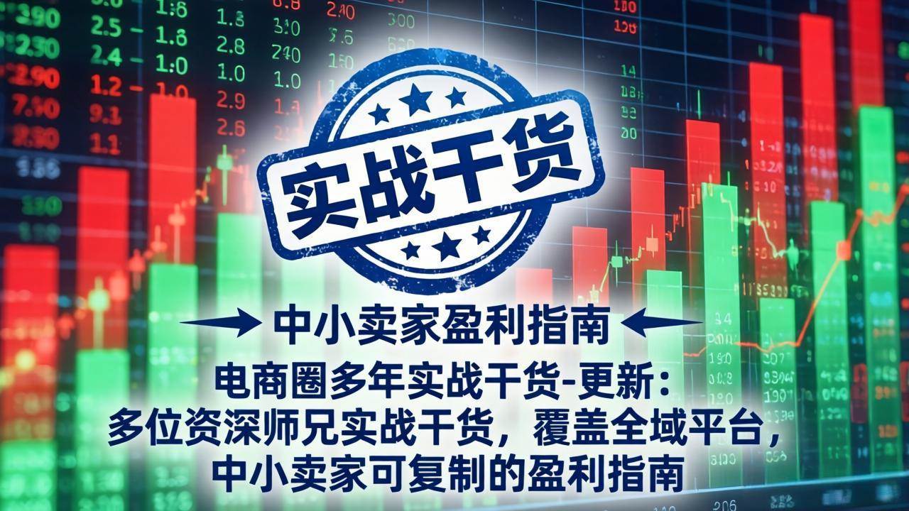 （19447期）电商圈多年实战干货-更新2026：多位资深师兄-免费资源