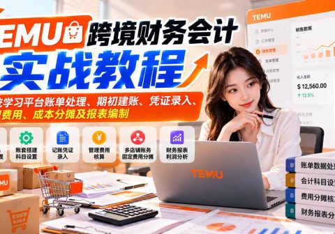 TEMU跨境财务会计实战教程：系统学习平台账单处理、期初建账、凭证录入、管理费用、成本分摊及报表编制-免费资源
