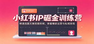 小红书IP掘金训练营：精通选题文案拍摄剪辑，掌握爆款运营与私域变现-免费资源