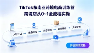 【精】tiktok东南亚跨境电商训练营跨境店从01全流程实-免费资源