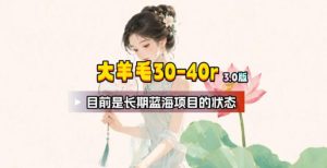 【大羊毛】几分钟30-40r，【流量体联盟】，可以矩阵-免费资源
