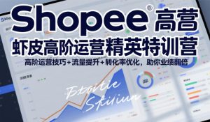 shopee虾皮高阶运营精英特训营，高阶运营技巧流量提-免费资源