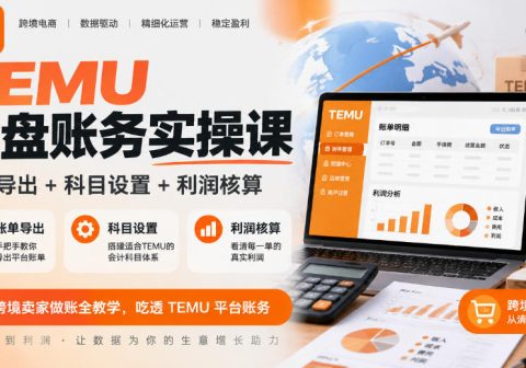 TEMU全盘账务实操课｜账单导出+科目设置+利润核算，跨境卖家做账全教学，吃透TEMU平台账务-免费资源