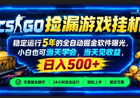 CSGO捡漏游戏挂机，稳定运行5年的全自动掘金软件曝光，小白也可当天学会，当天见收益，日入500+-免费资源