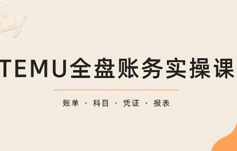 TEMU全盘账务实操课:账单导出、科目设置、利润核算-免费资源
