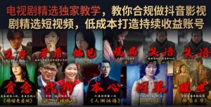 电视剧精选独家教学，教你合规做抖音影视剧精选-免费资源
