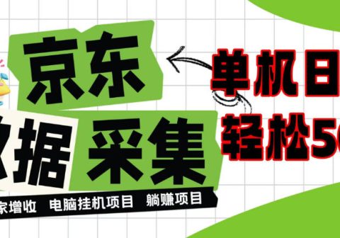 闲置电脑变现！单机单天收益500+，京东数据采集优化，全天纯挂G【揭秘】-免费资源
