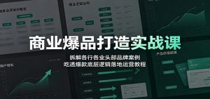 商业爆品打造实战课：拆解各行各业头部品牌案例-免费资源