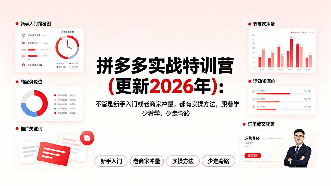 （19291期）拼多多实战特训营更新2026年：不管是新手入-免费资源