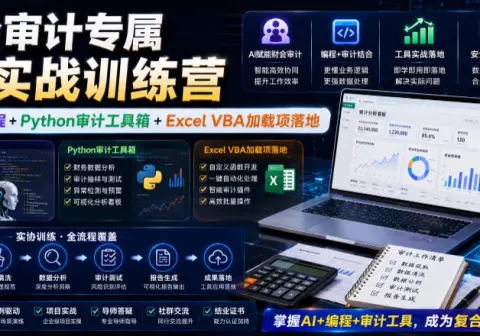 财会审计专属ai实战训练营｜ai协同编程python审计工具箱-免费资源