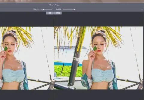 RAW处理Adobe Camera Raw v18.5.0中文版-免费资源